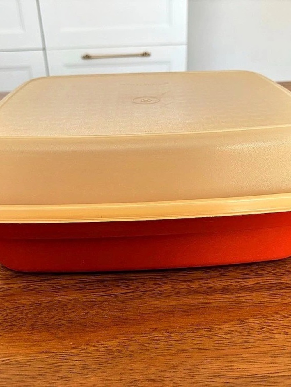 Tupperware Vintage meat marinade container
